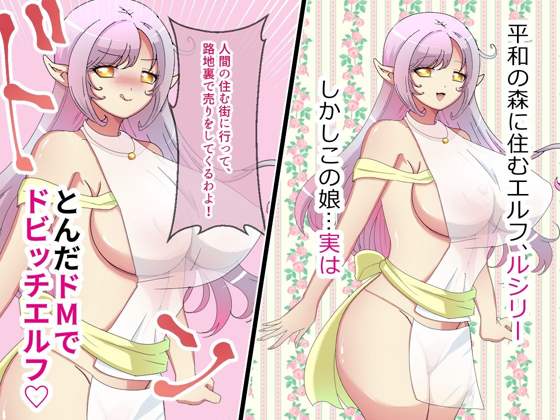 ドMエルフちゃんは、男たちにブチまわされて父親の分からない赤ちゃんを孕みたい - サンプル画像 1