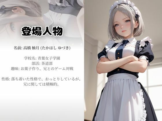 思春期の兄に薬を盛られた妹メイド【睡眠姦】 - サンプル画像 1
