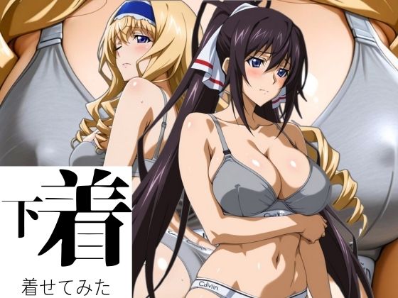 あの下着を着せてみた。 ほ〇き＆セ〇リア