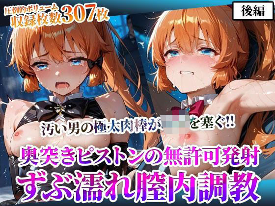 怪盗◎女の幼穴が汚い男たちの極太肉棒の餌食に！奥突きピストンの強●発射に絶叫の嵐-後編