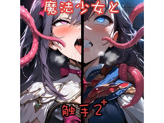 魔法少女と触手2＋