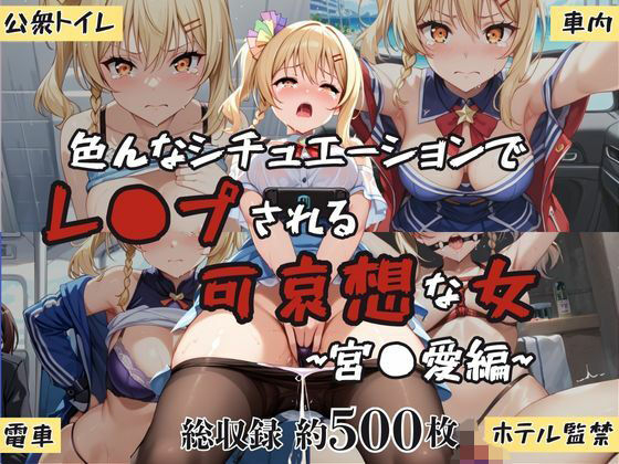 超絶不幸〜色んなシチュエーションでレ●プされる可哀想な女〜宮●愛編