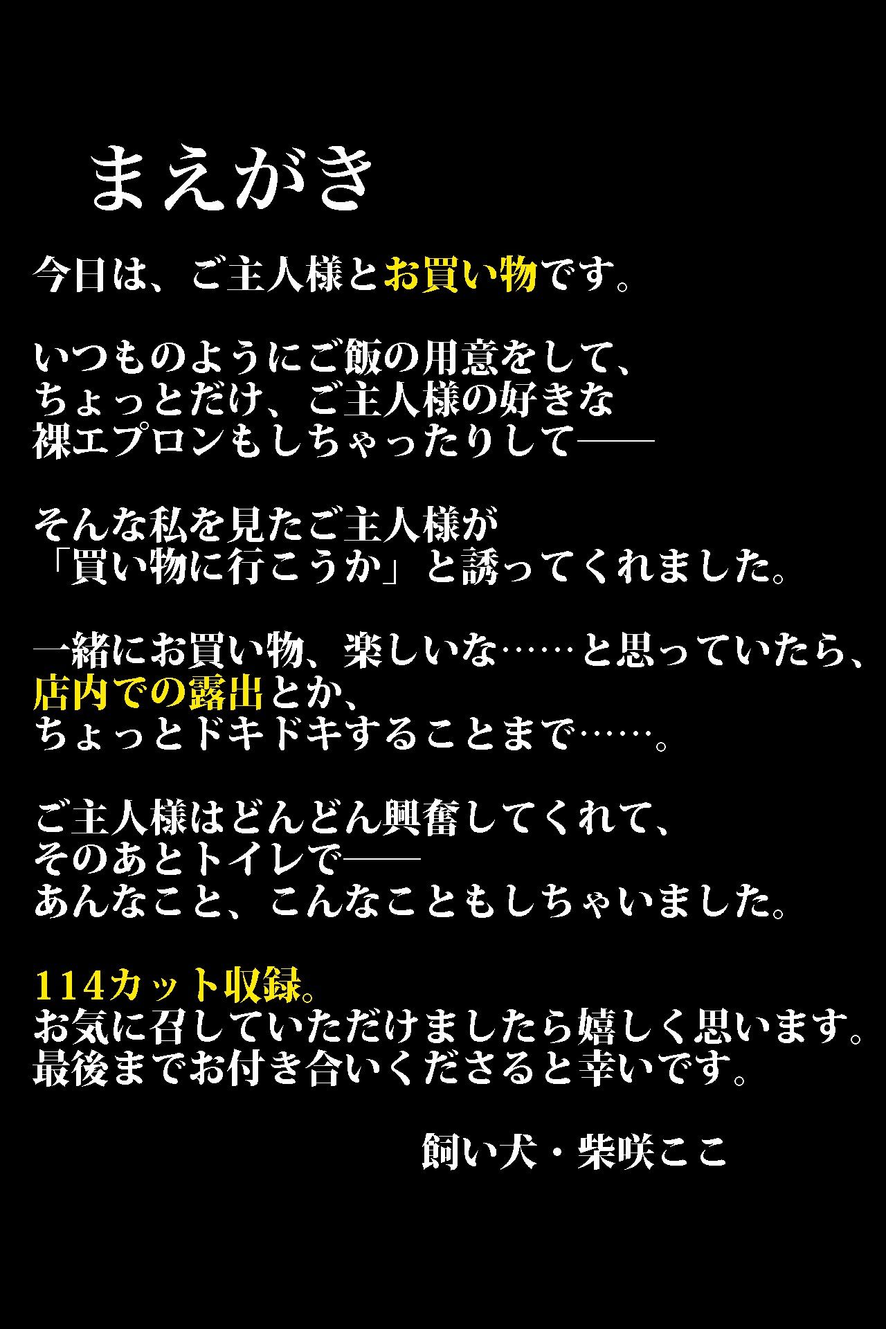 【2.9次元シリーズ】飼い犬・ここ  Vol.02  お買い物編 - サンプル画像 1