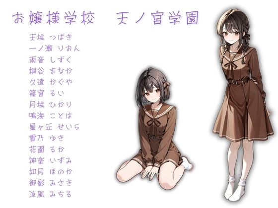 お嬢様学校で有名な天ノ宮学園（あまのみやがくえん）オレのハメ撮り図鑑 - サンプル画像 1