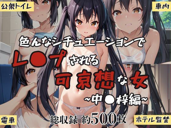 超絶不幸〜色んなシチュエーションでレ●プされる可哀想な女〜中●梓編