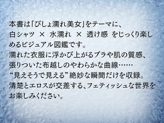 びしょ濡れ美女図鑑 ＃1白シャツ編 - サンプル画像 2