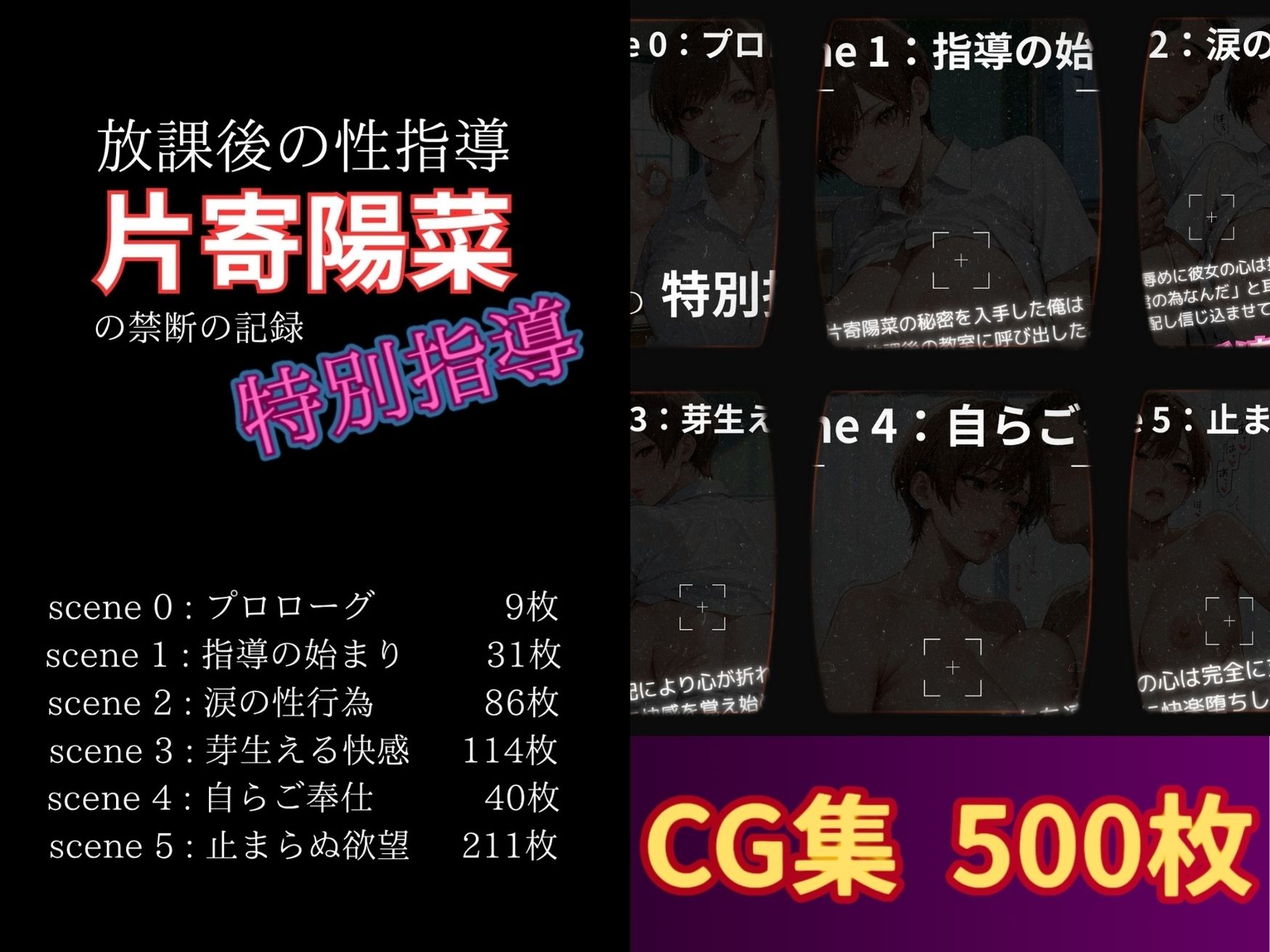 放課後の性指導 〜片寄陽菜の禁断の記録-ハメ撮り - サンプル画像 1