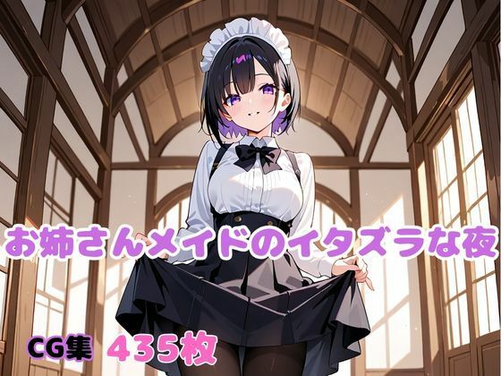 お姉さんメイドのイタズラな夜