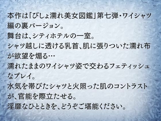 裏びしょ濡れ美女図鑑 ＃7 ワイシャツ編 - サンプル画像 2