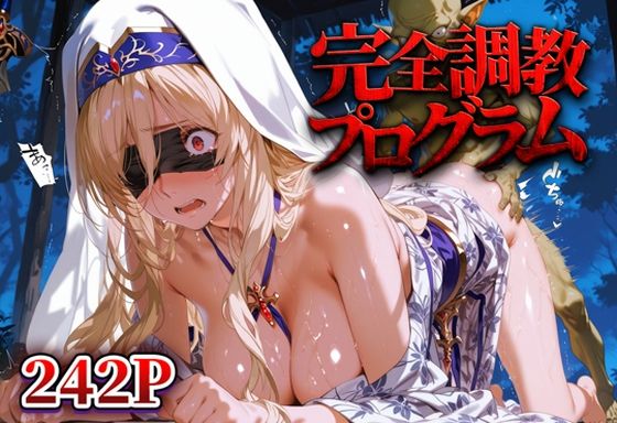 完全調教プログラム_剣の乙女