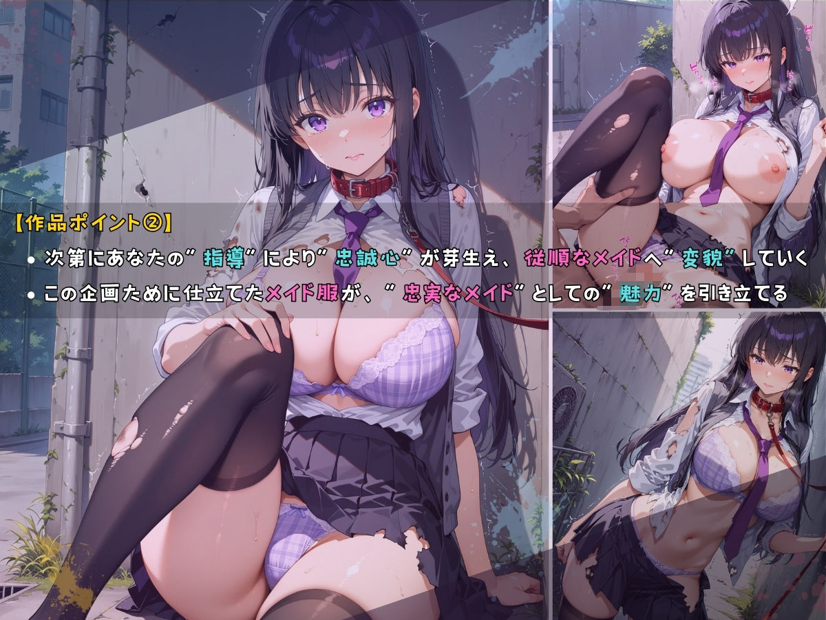 女子校生 メイド 深夜ノ公園で首輪をつけて指導してみた件 - サンプル画像 3