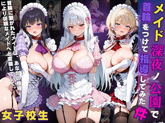女子校生 メイド 深夜ノ公園で首輪をつけて指導してみた件
