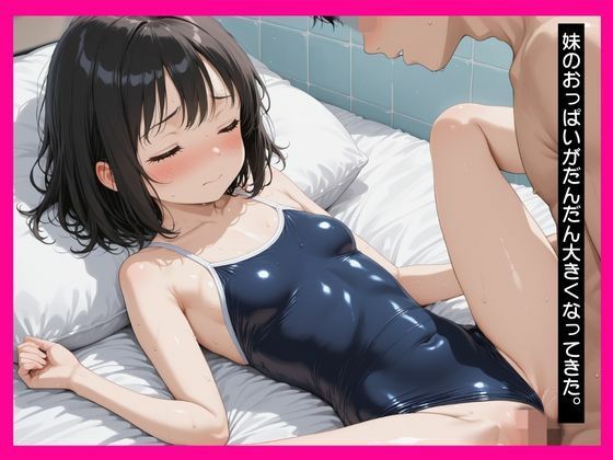 NTRいもうと寝取り - サンプル画像 2