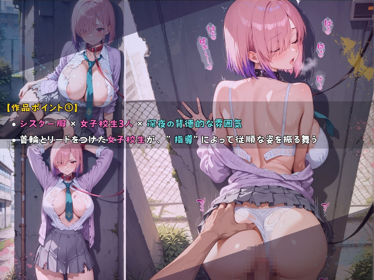 女子校生 シスター 深夜ノ公園で首輪をつけて指導してみた件 - サンプル画像 2