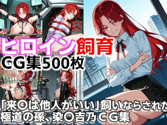 ヒロイン飼育  「来〇は他人がいい」飼いならされた極道の孫、染〇吉乃CG集