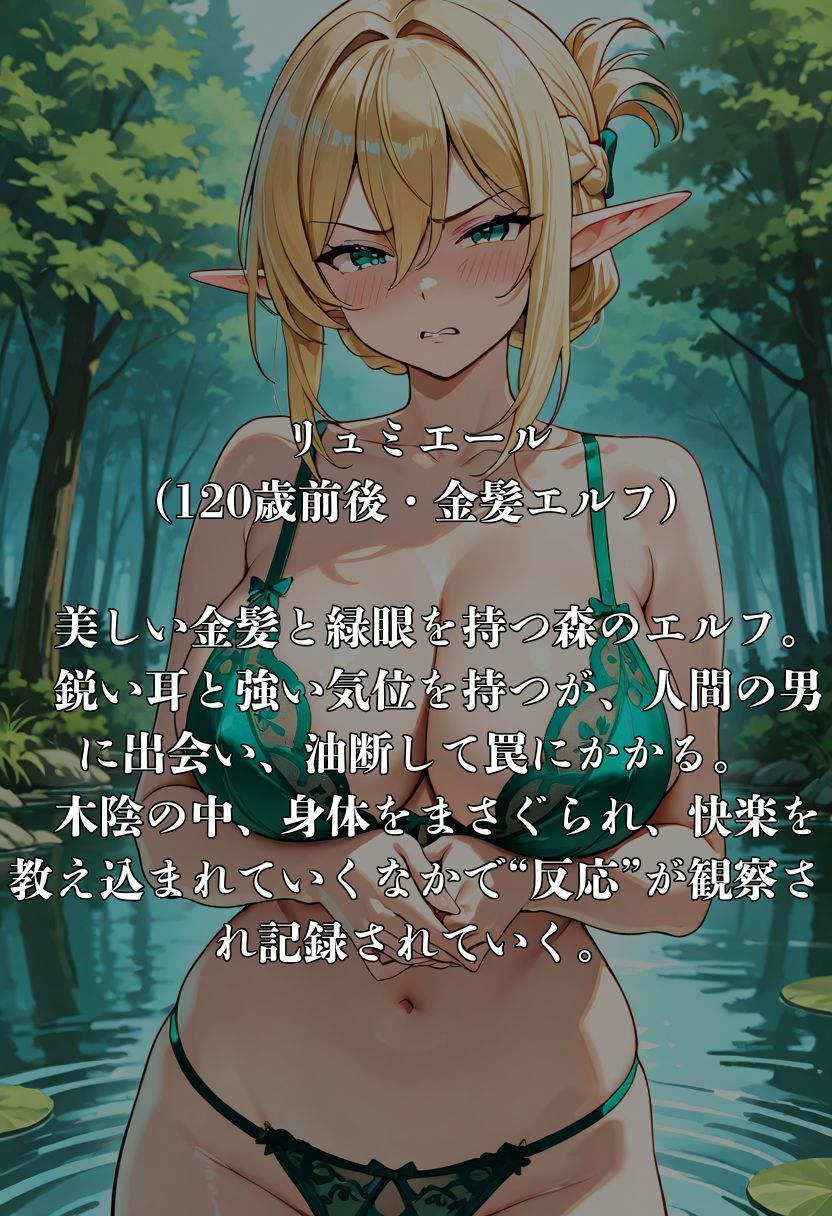 はぐれエルフの調教日記 - サンプル画像 1