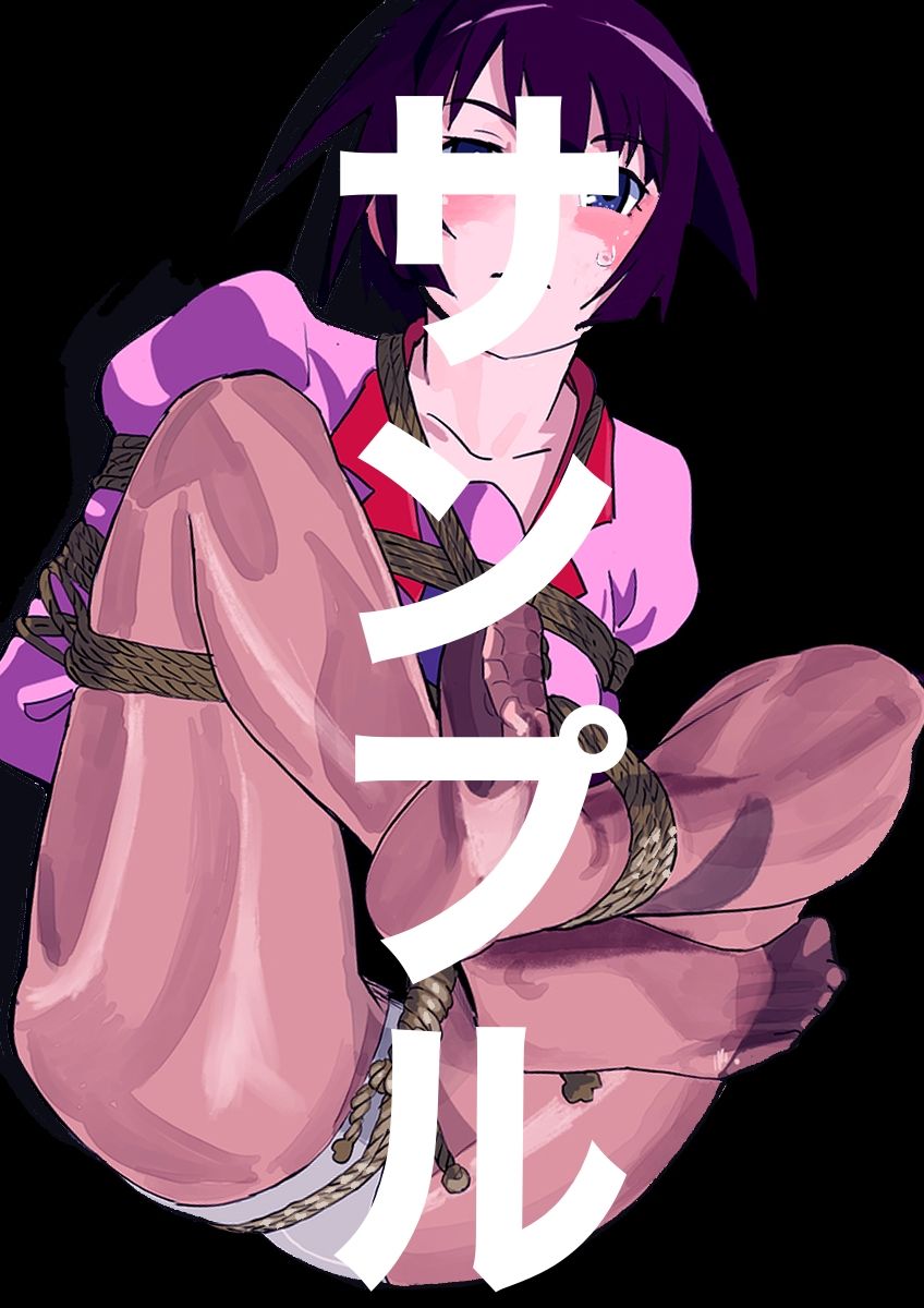 戦場ヶ原ひたぎSM緊縛画集4 - サンプル画像 1