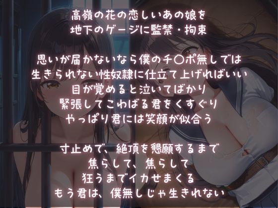 監禁調教オナペット2〜アヘ顔メス堕ちさせられたJK〜 - サンプル画像 1