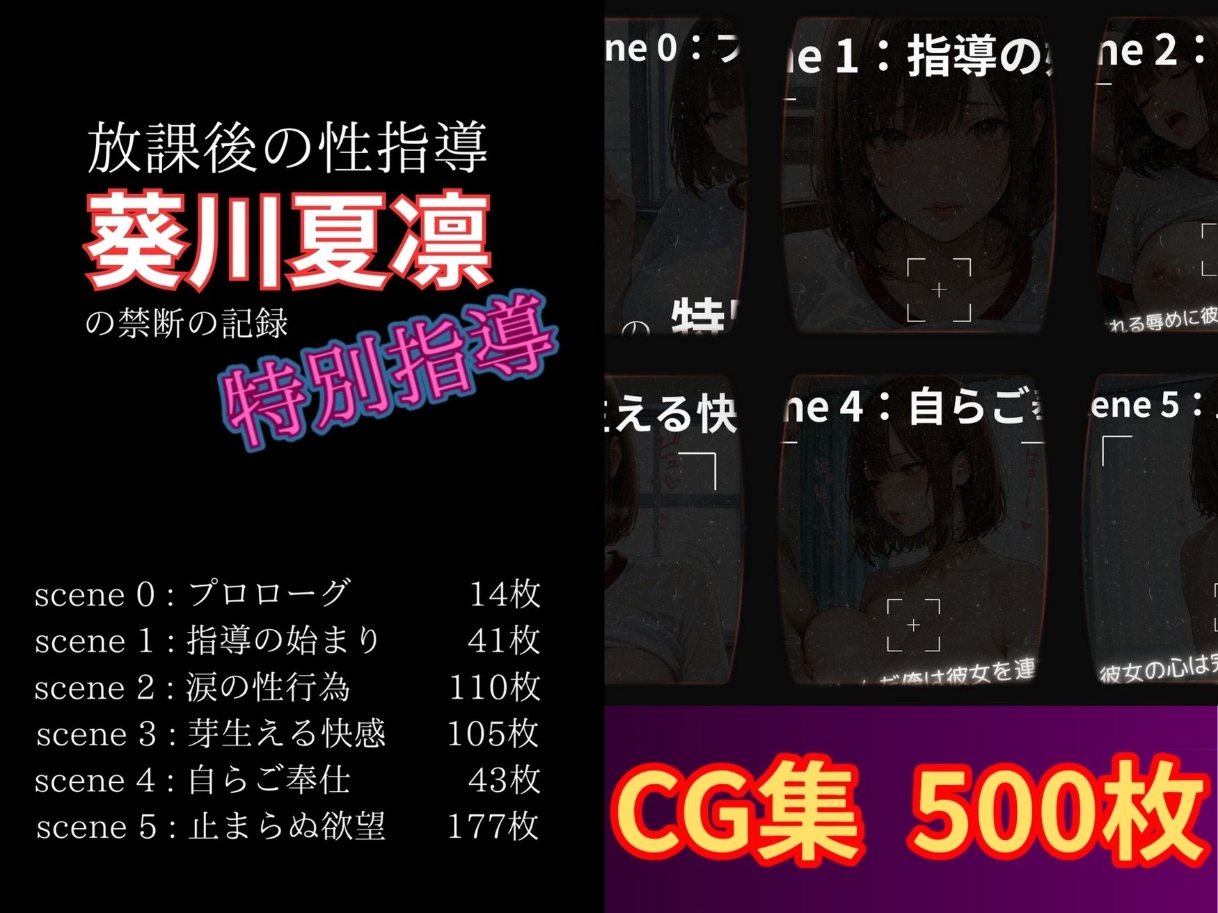 放課後の性指導 〜葵川夏凛の禁断の記録-ハメ撮り - サンプル画像 1