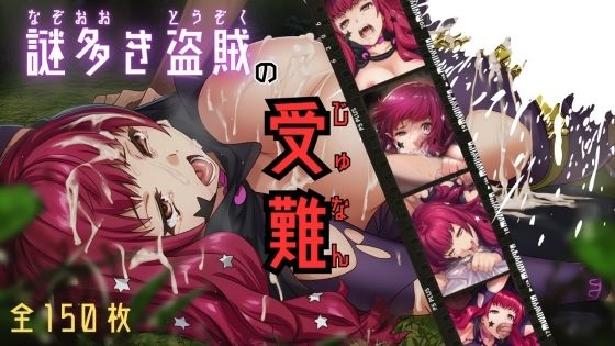 謎多き盗賊の受難