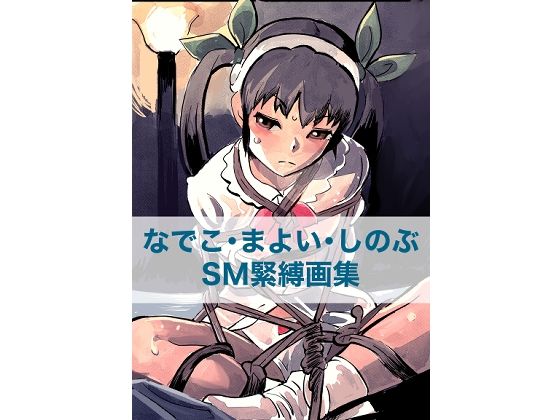 なでこ・まよい・しのぶ  SM緊縛画集