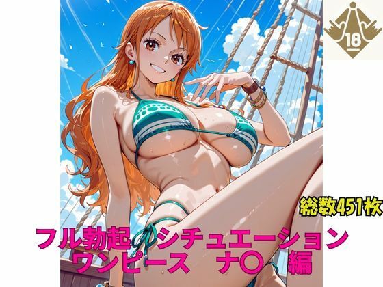 フル勃起シチュエーション  ワンピース  ナ〇  編