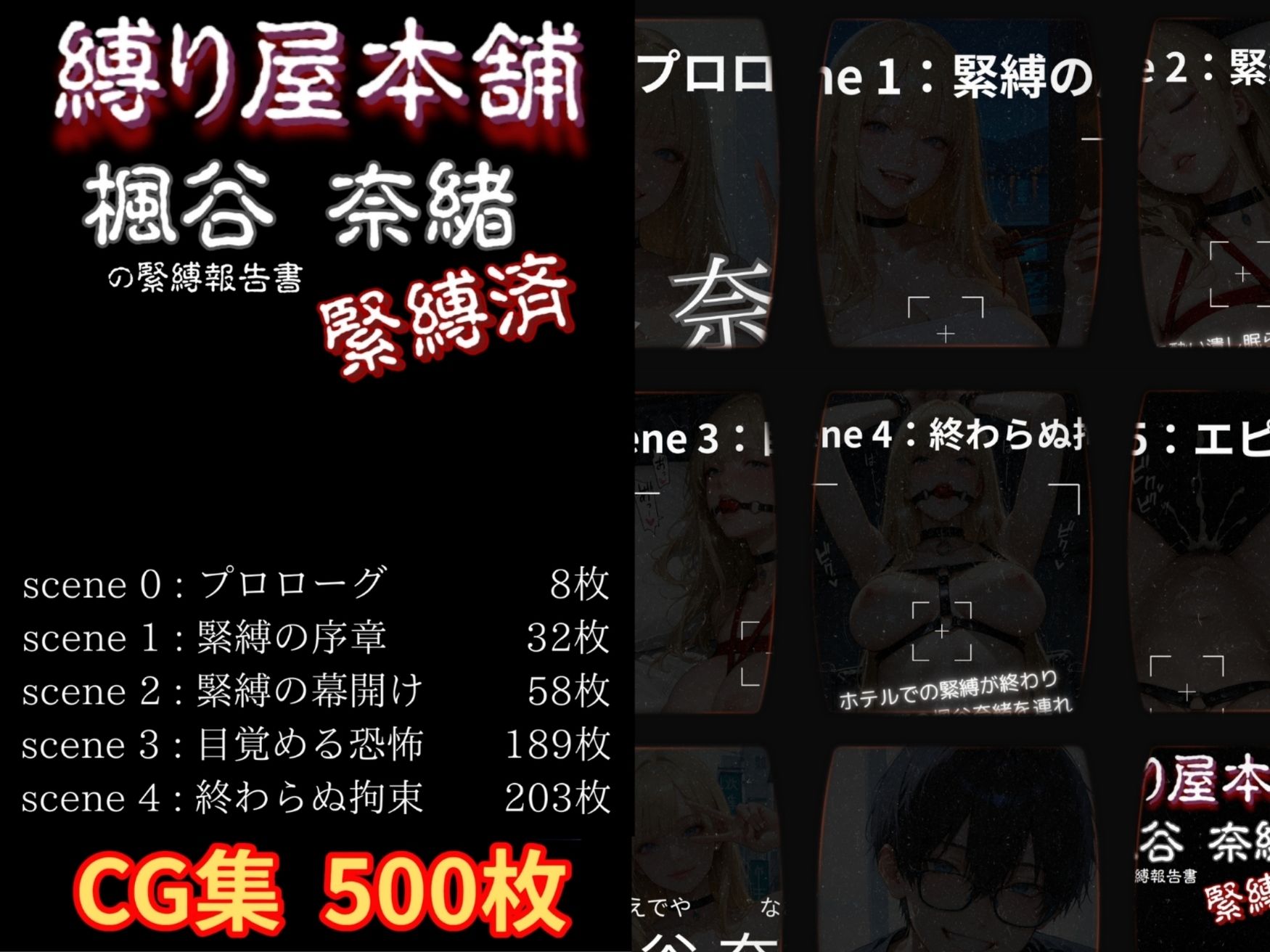 縛り屋本舗〜楓谷奈緒の緊縛報告書 - サンプル画像 1
