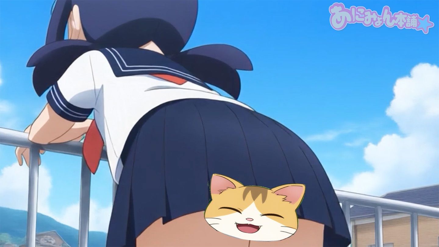 【フルボイスアニメ】サッカー応援中にえっちな風でパンチラしちゃってる女の子たちΣ（’？？？’） - サンプル画像 6