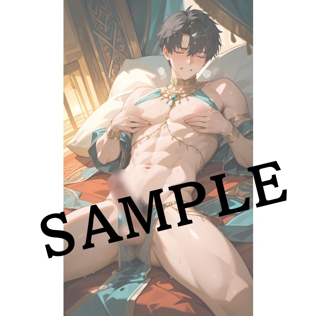 001.【王宮専属チクニーアラビアンダンサーボーイ】 - サンプル画像 9