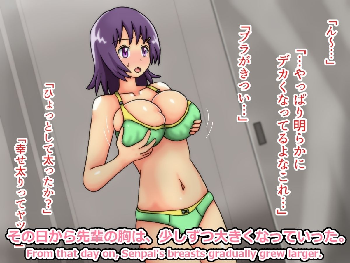 アケミ先輩の膨乳日記 第1集 - サンプル画像 2