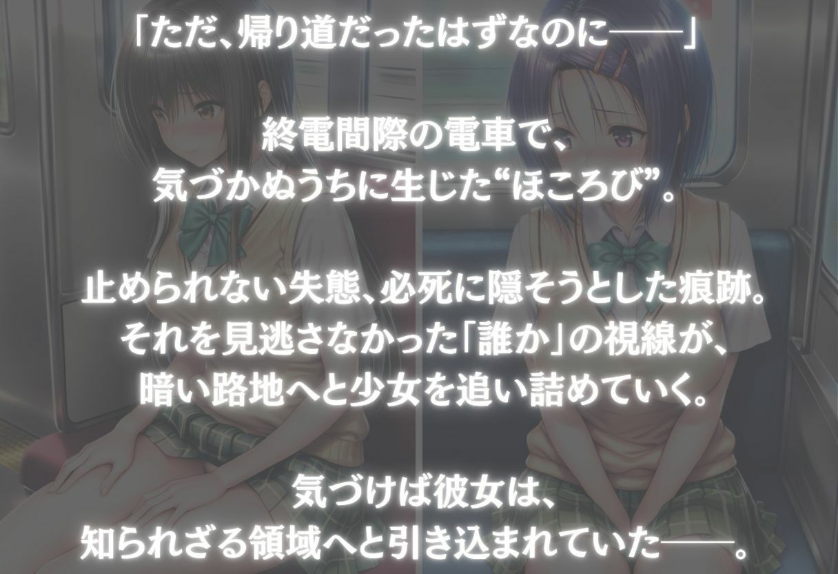 帰宅中にお漏らししたヒロインに遭遇した話〜vol.1〜 - サンプル画像 1