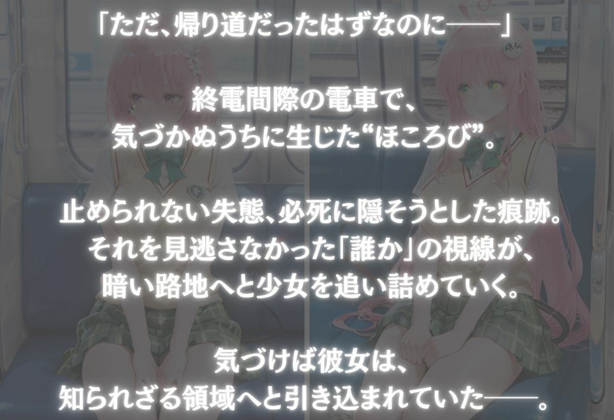 帰宅中にお漏らししたヒロインに遭遇した話〜vol.3〜 - サンプル画像 1
