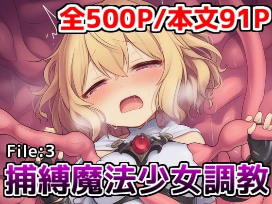 捕縛魔法少女調教File:3〜魔法少女がアクメ魔法と丸？み触手で悶絶イキ○問調教されちゃう話
