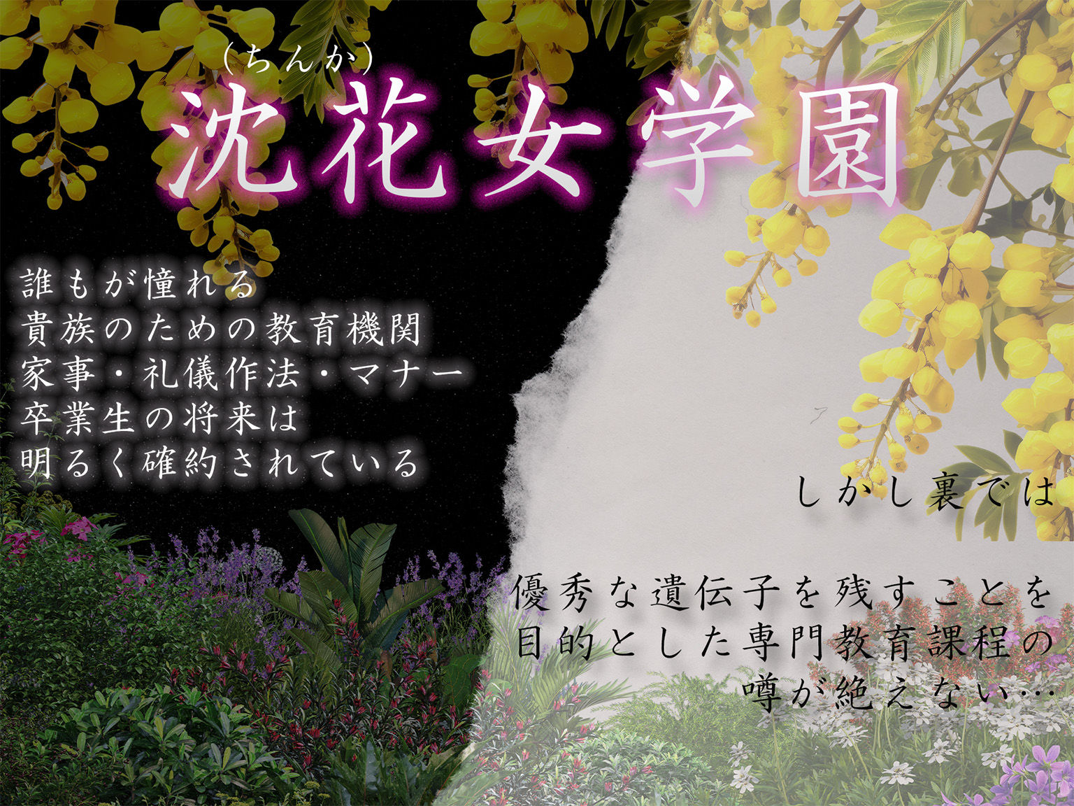 ［4K500P］孕ませご奉仕学園〜子宮でご奉仕させていただきます〜  教会子宮奉仕実地訓練  日向こはる - サンプル画像 1