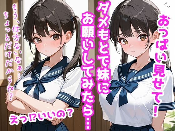 発育のイイ妹とハメたおす夢のような毎日 - サンプル画像 1