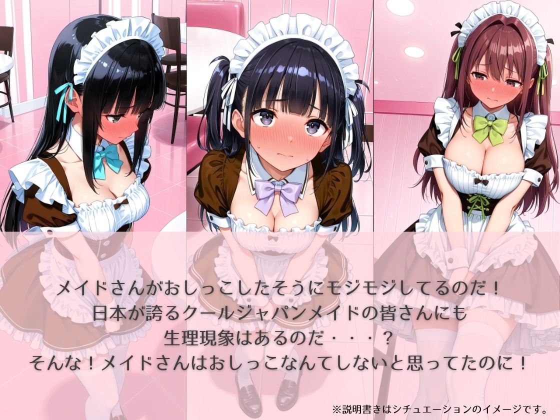 aki●a no maid no toilet〜のぞき＆突入＆催●シチュCG集〜 - サンプル画像 1