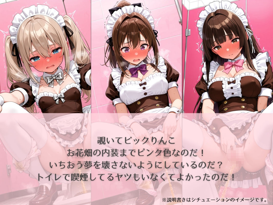 aki●a no maid no toilet〜のぞき＆突入＆催●シチュCG集〜 - サンプル画像 2
