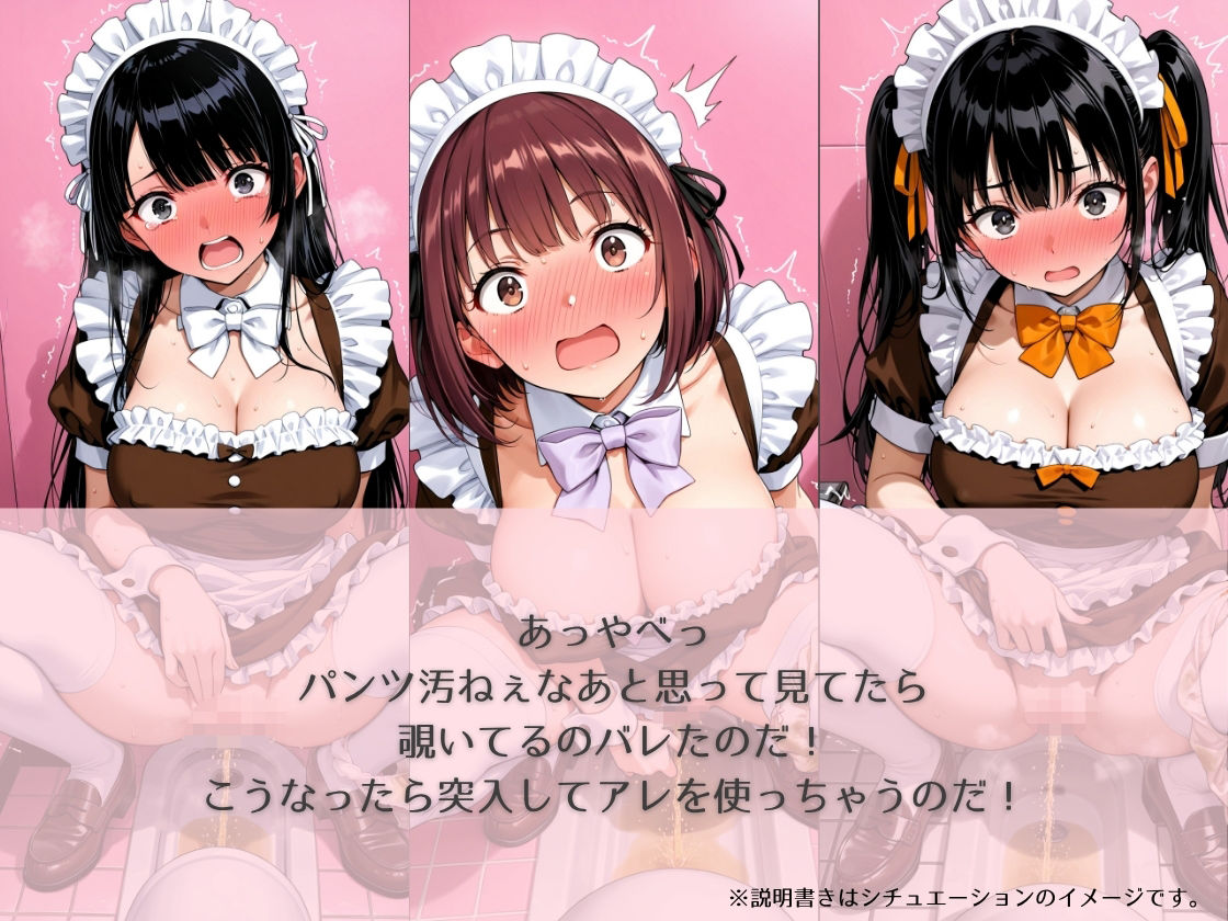 aki●a no maid no toilet〜のぞき＆突入＆催●シチュCG集〜 - サンプル画像 3