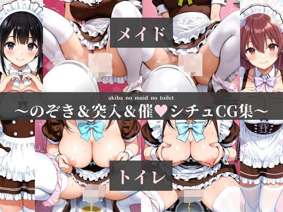 aki●a no maid no toilet〜のぞき＆突入＆催●シチュCG集〜