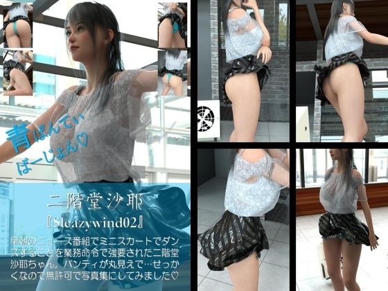 【chrl500】二階堂沙耶の「Sleazywind」シリーズがお得なセットに！10本パック総集編！ - サンプル画像 2