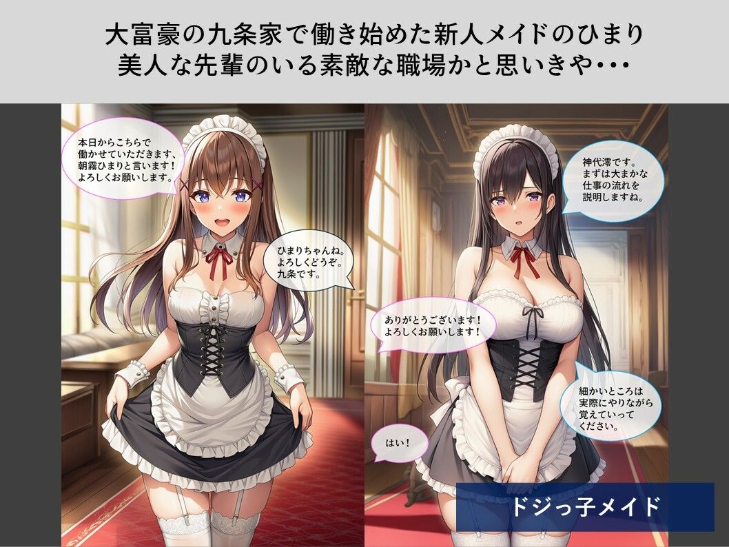 【TheDID】婦警さん緊縛監禁/ドジっ子メイド - サンプル画像 5