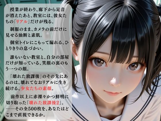 壊れた放課後2 - サンプル画像 1