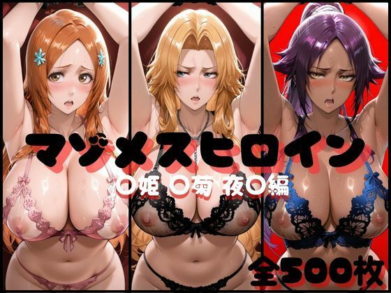 マゾメスヒロイン  ○姫 ○菊 夜○編