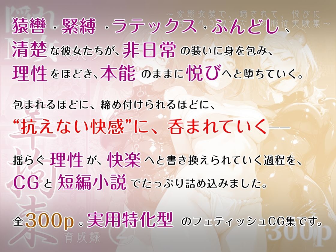 隠れM女さんの革拘束育成録2 〜変態衣装で、晒されて、悦びに呑まれる淑女たちの服従実験集〜 - サンプル画像 1