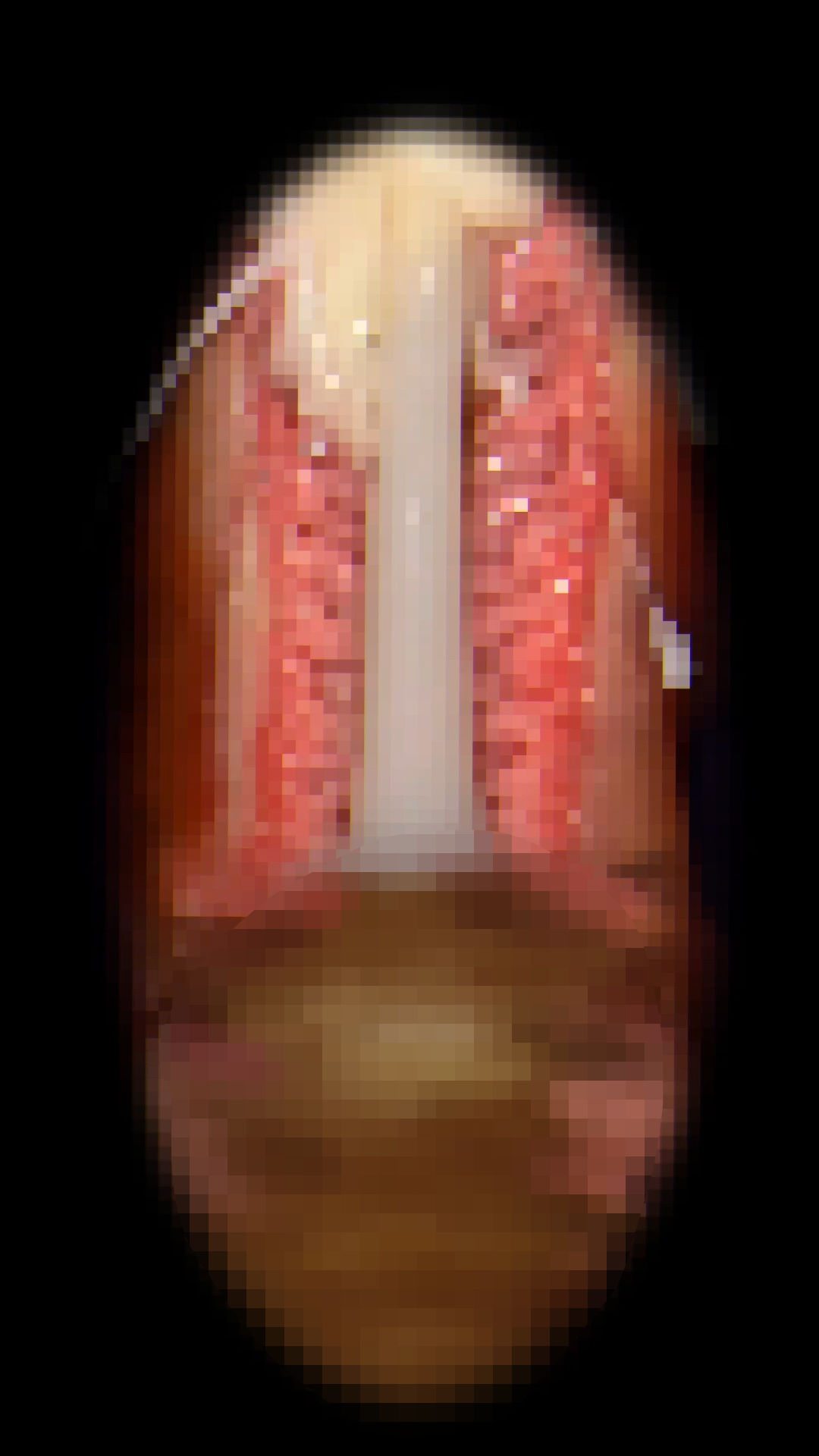 保健室の眠れる人魚姫 - サンプル画像 7