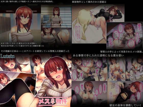 るていんSS4点パック5 - サンプル画像 3