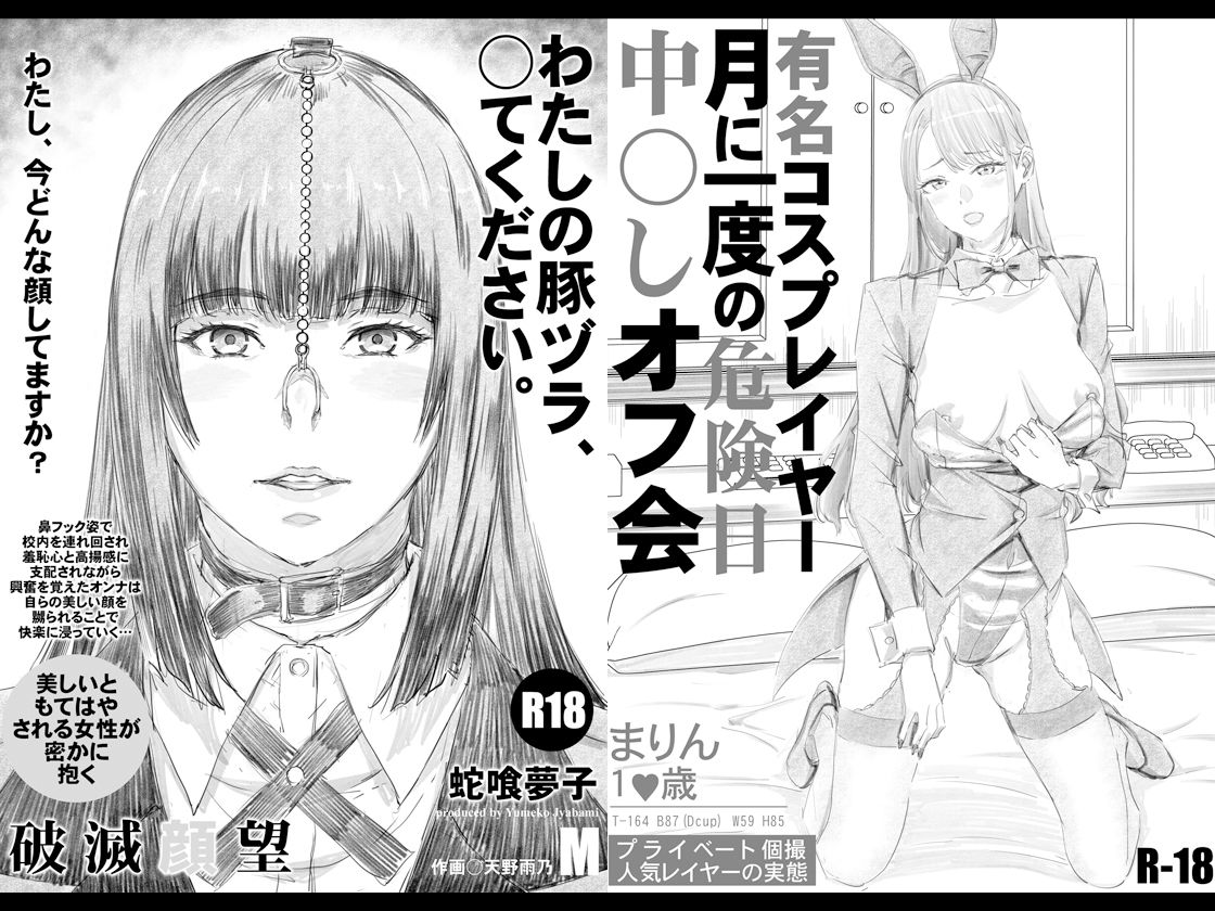 限定本10作品総集編プラス - サンプル画像 5