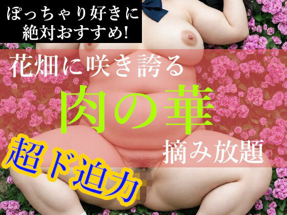 ぽっちゃり娘【肉の華】