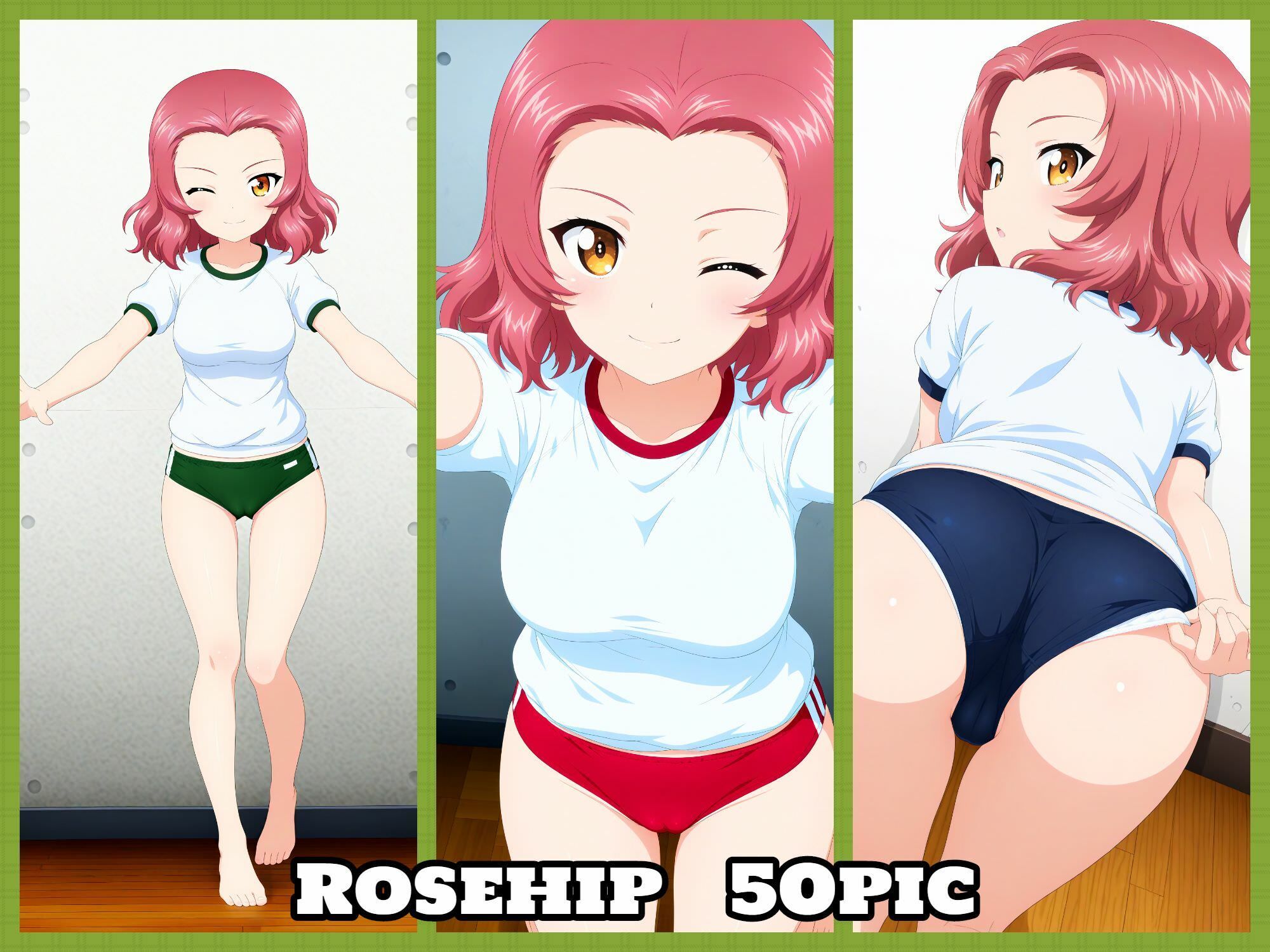 Girls und Buruma Hamipan 聖グロリアーナ編 - サンプル画像 4