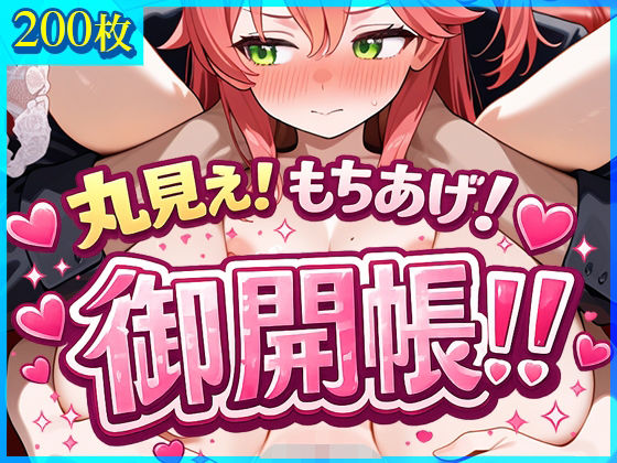 丸見え！もちあげ！御開帳！！